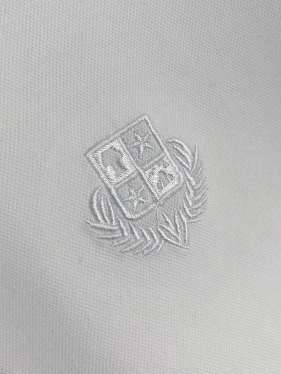 Loro Piana Polo Shirts Short _SKULoroPianasz48-56xetr3926787
